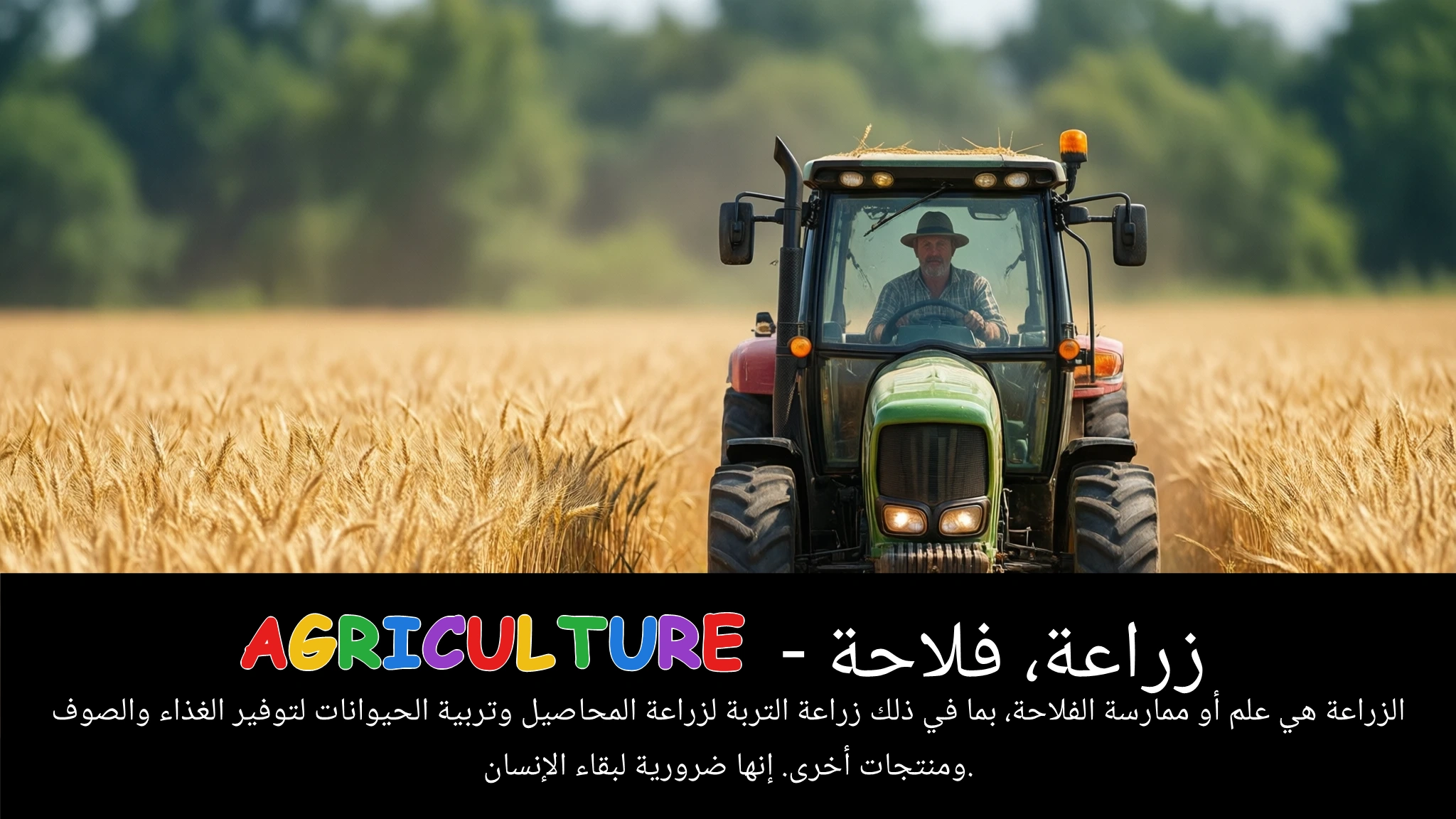 Arabic Illustration for agriculture